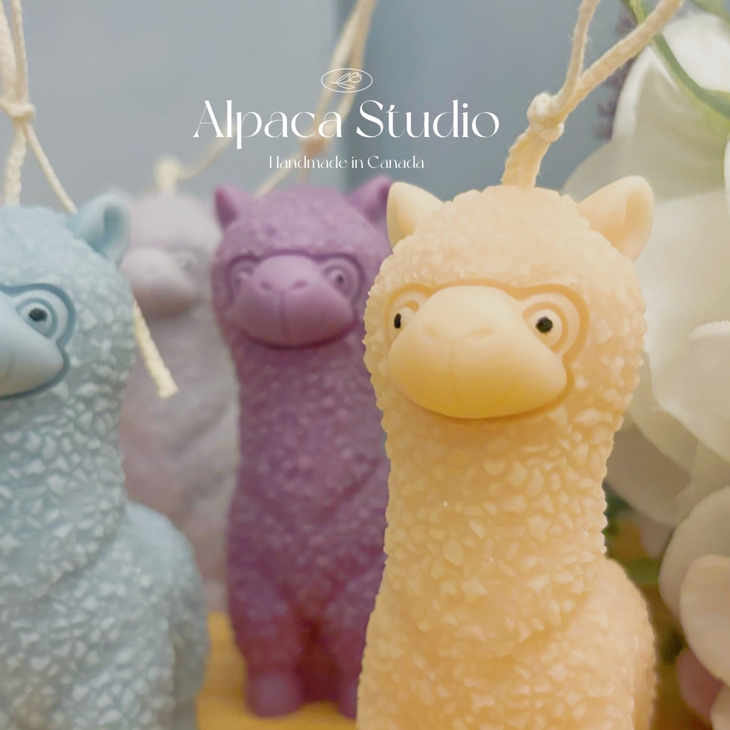 Alpaca Candle